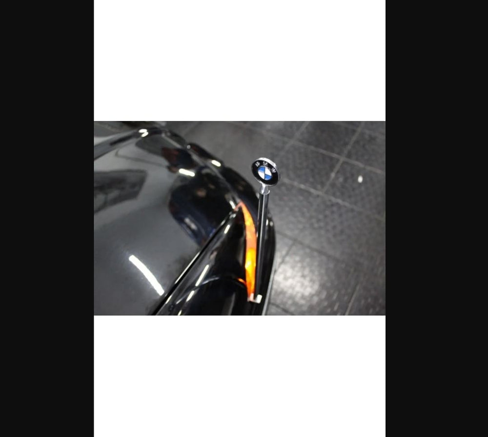 
                  
                    BMW Chrome Parking Pole with Streamer – Stylish Pennant Flag Accessory
                  
                