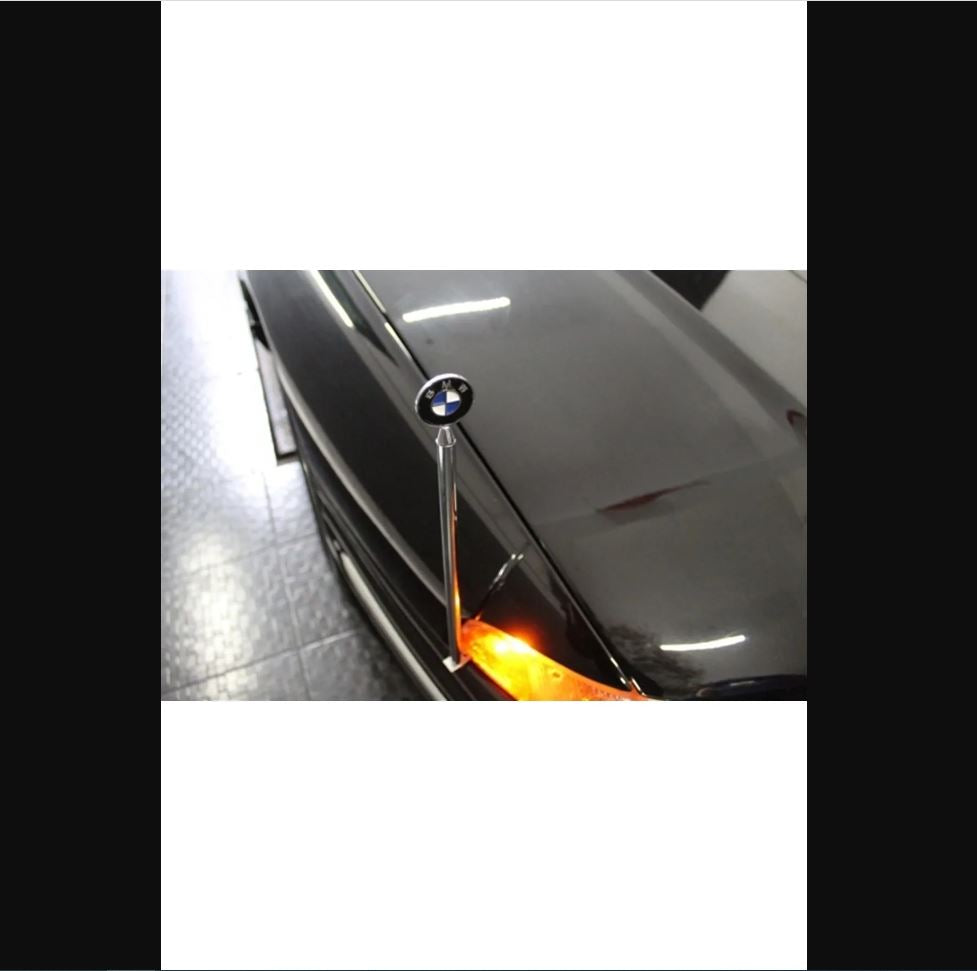 BMW Chrome Parking Pole with Streamer – Stylish Pennant Flag Accessory